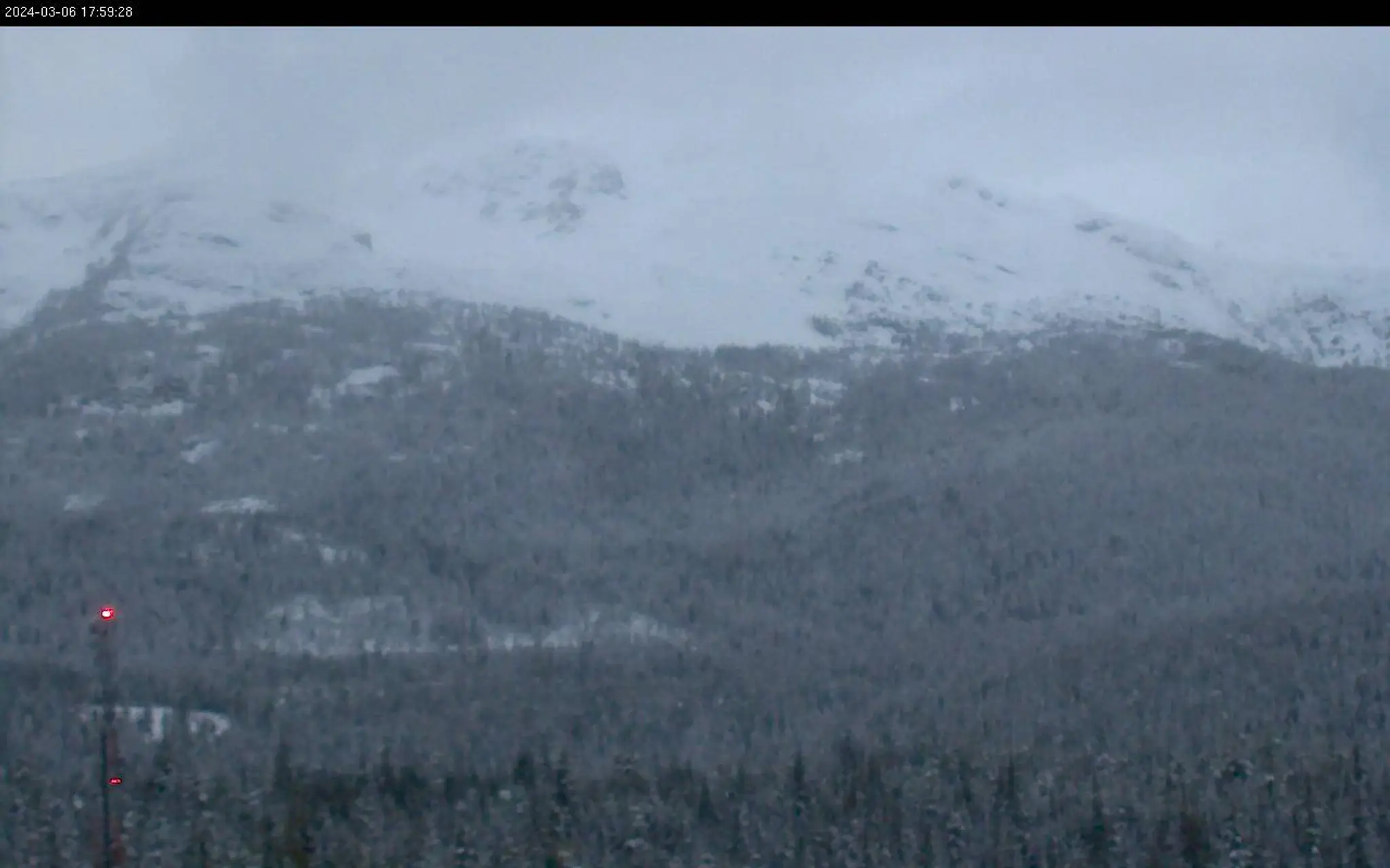 Callaghan Country's Alexander Falls Touring Centre