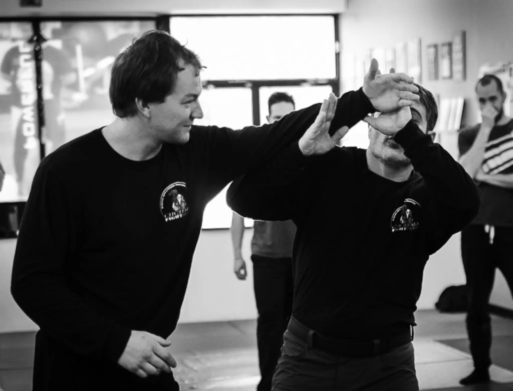 Bran Systema Rennes