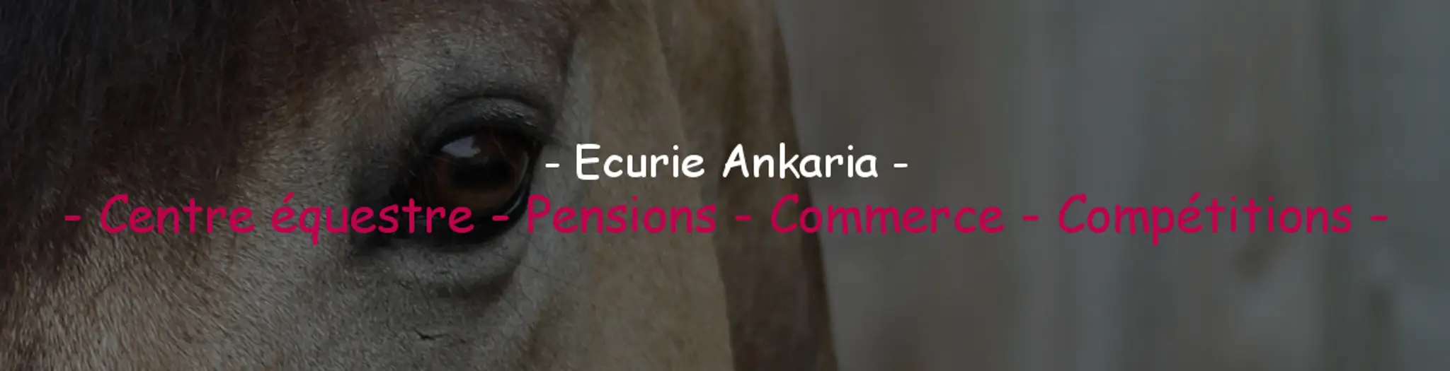 ECURIE D ANKARIA
