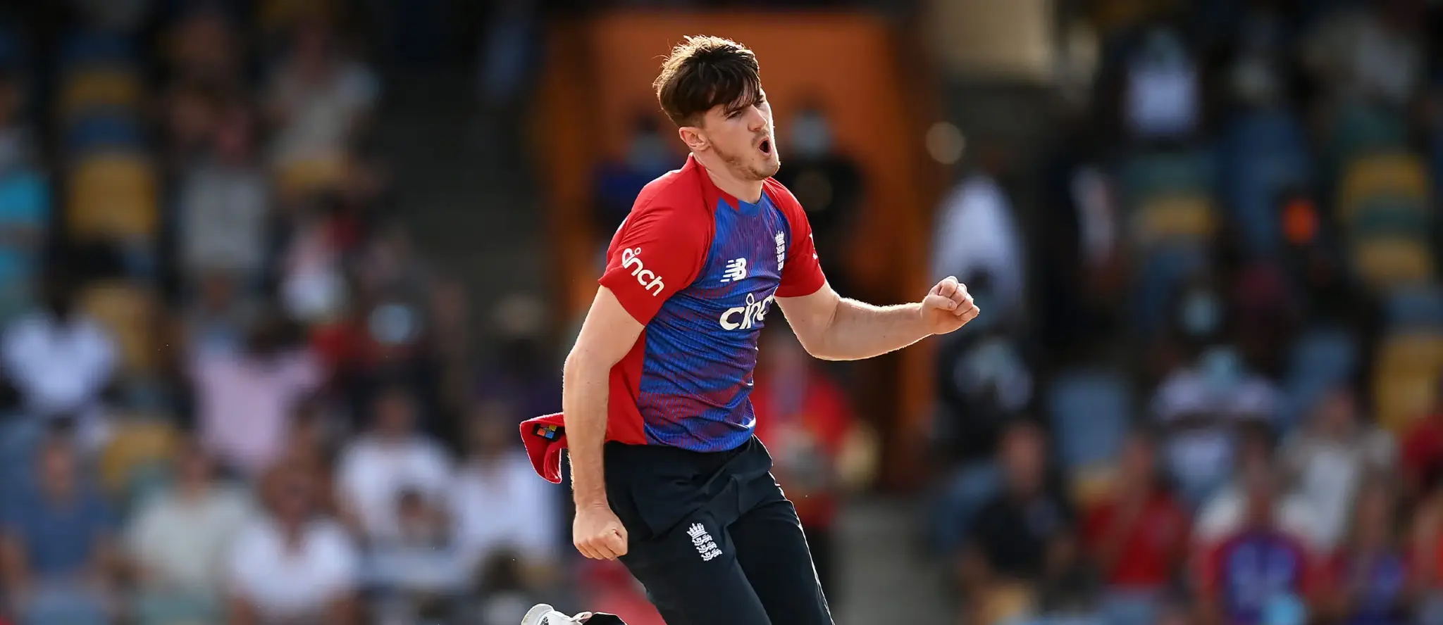 Warwickshire Cricket Board