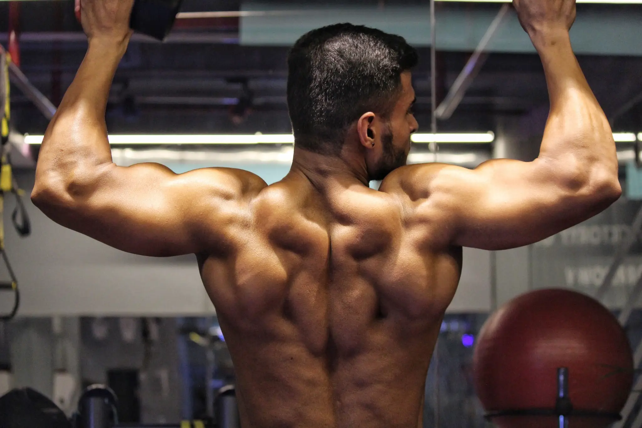 Body Scientist Gym