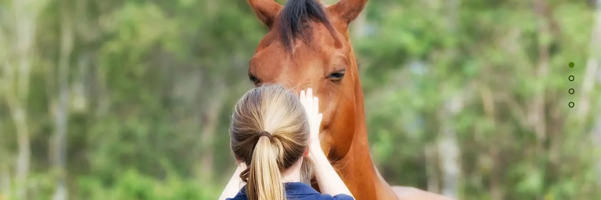 Dove Haven Equestrian Park