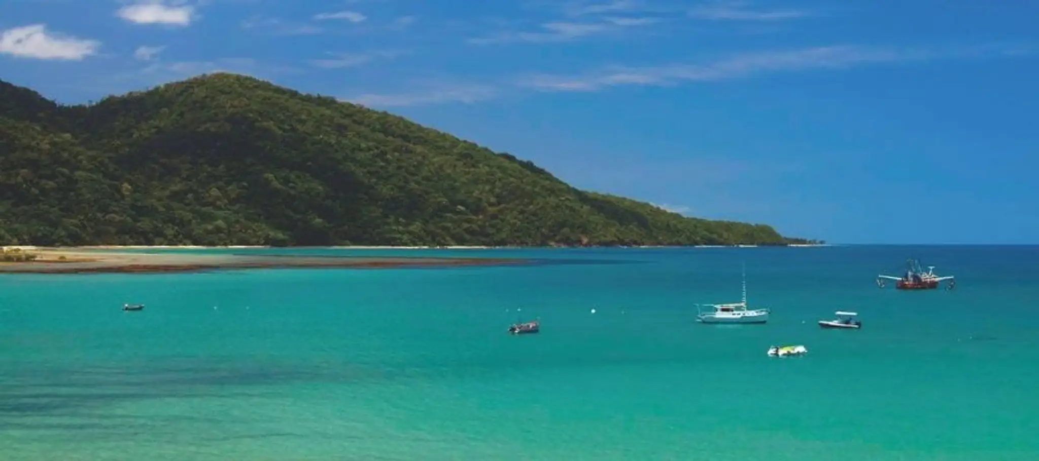 Daintree Tours