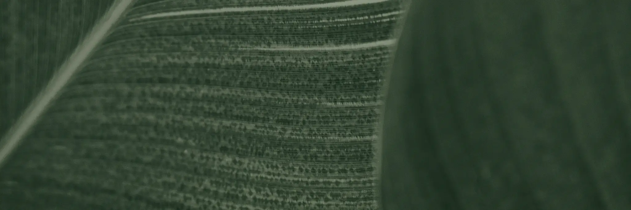 Be Well Allied Health