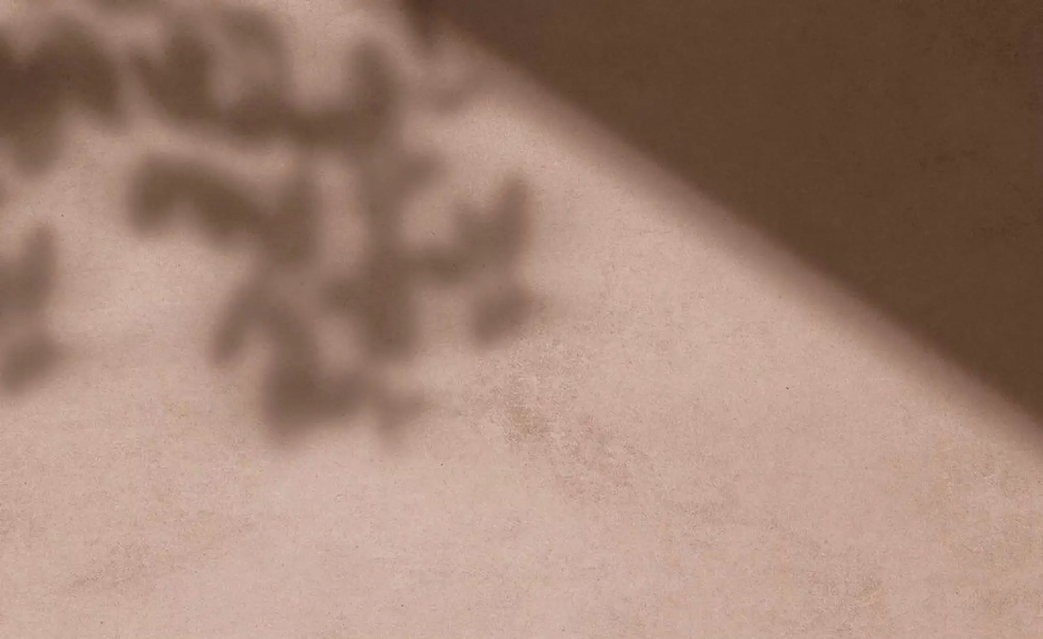 Village Yoga and Wellness Boutique