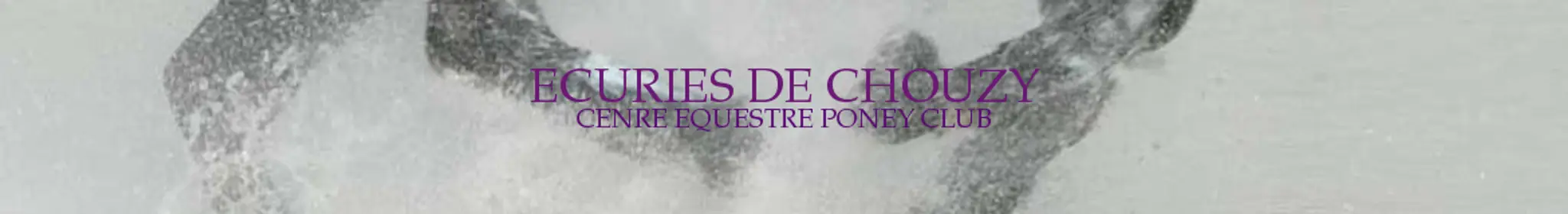 Les Ecuries De Chouzy