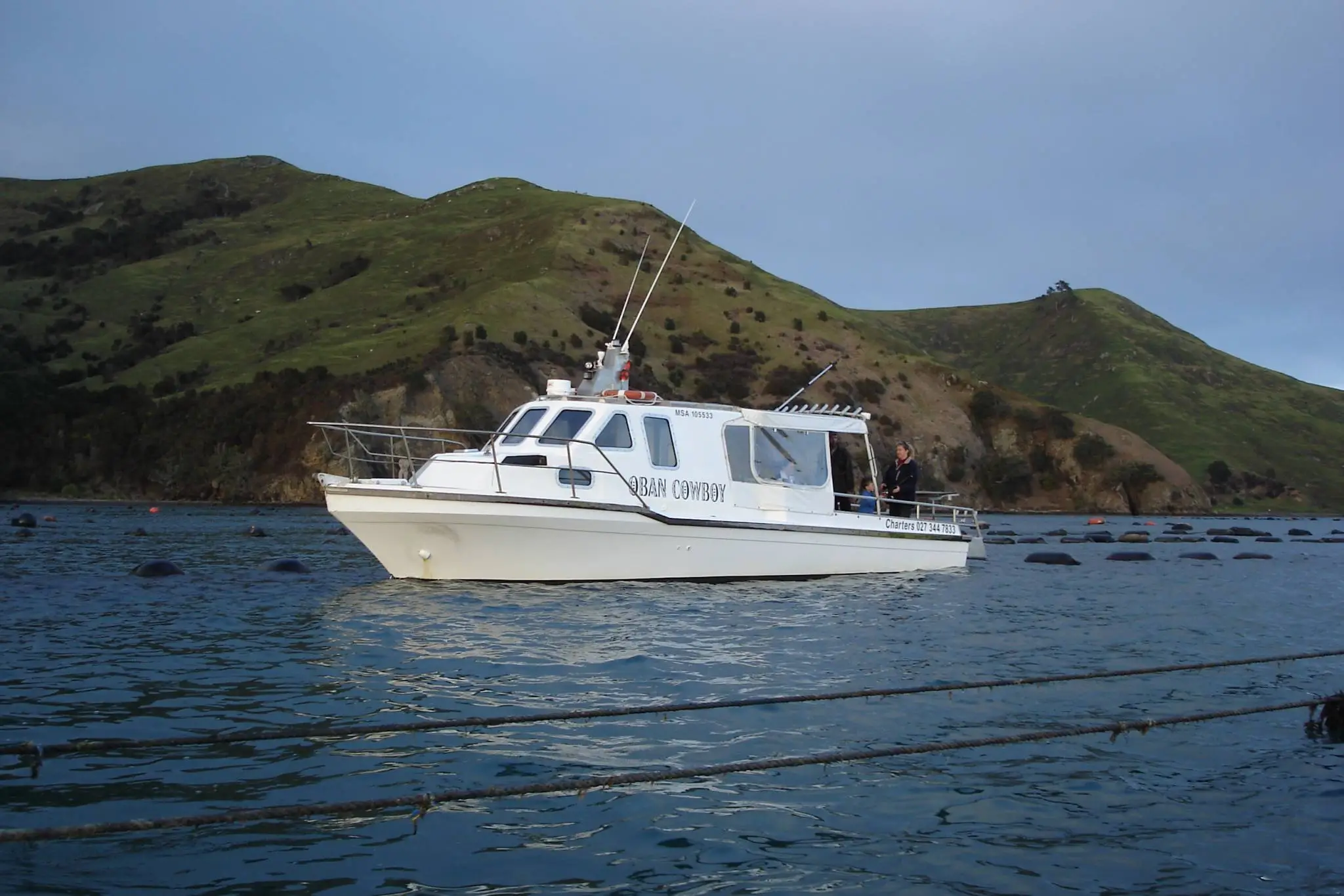 Coro Cowboy Fishing Charters