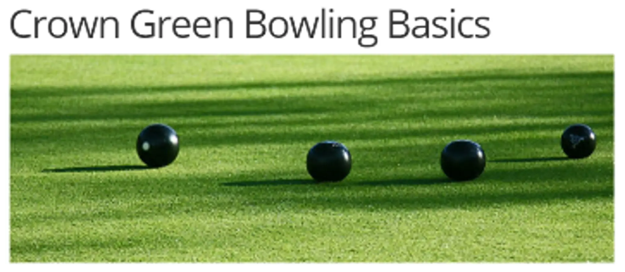 Bowling Green - Eirias Bowling Club