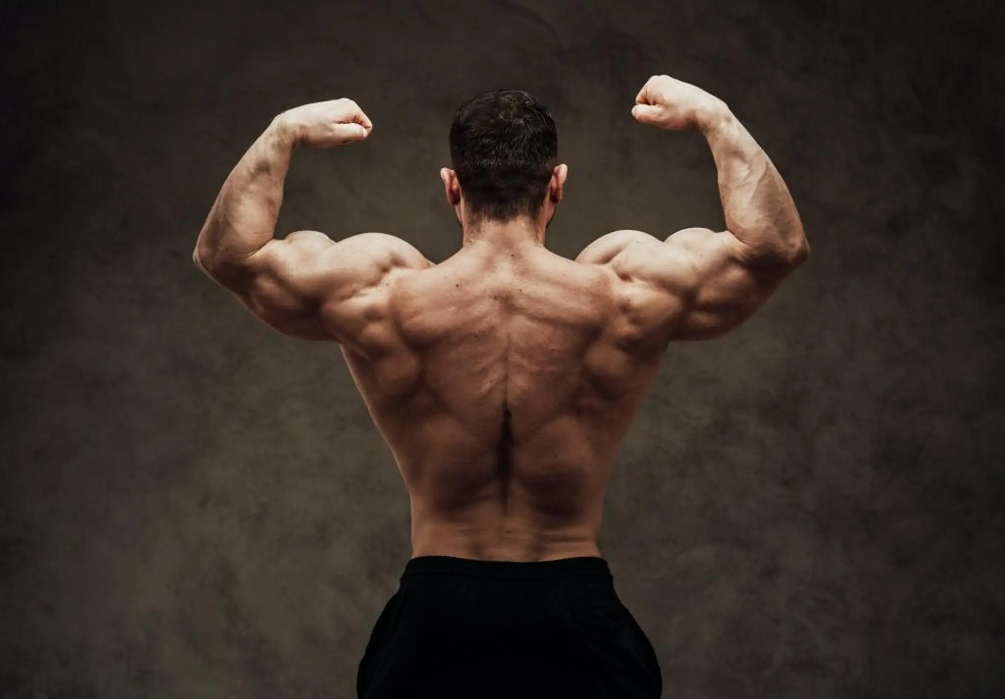 Sculptor’s Lifestyle & Fitness