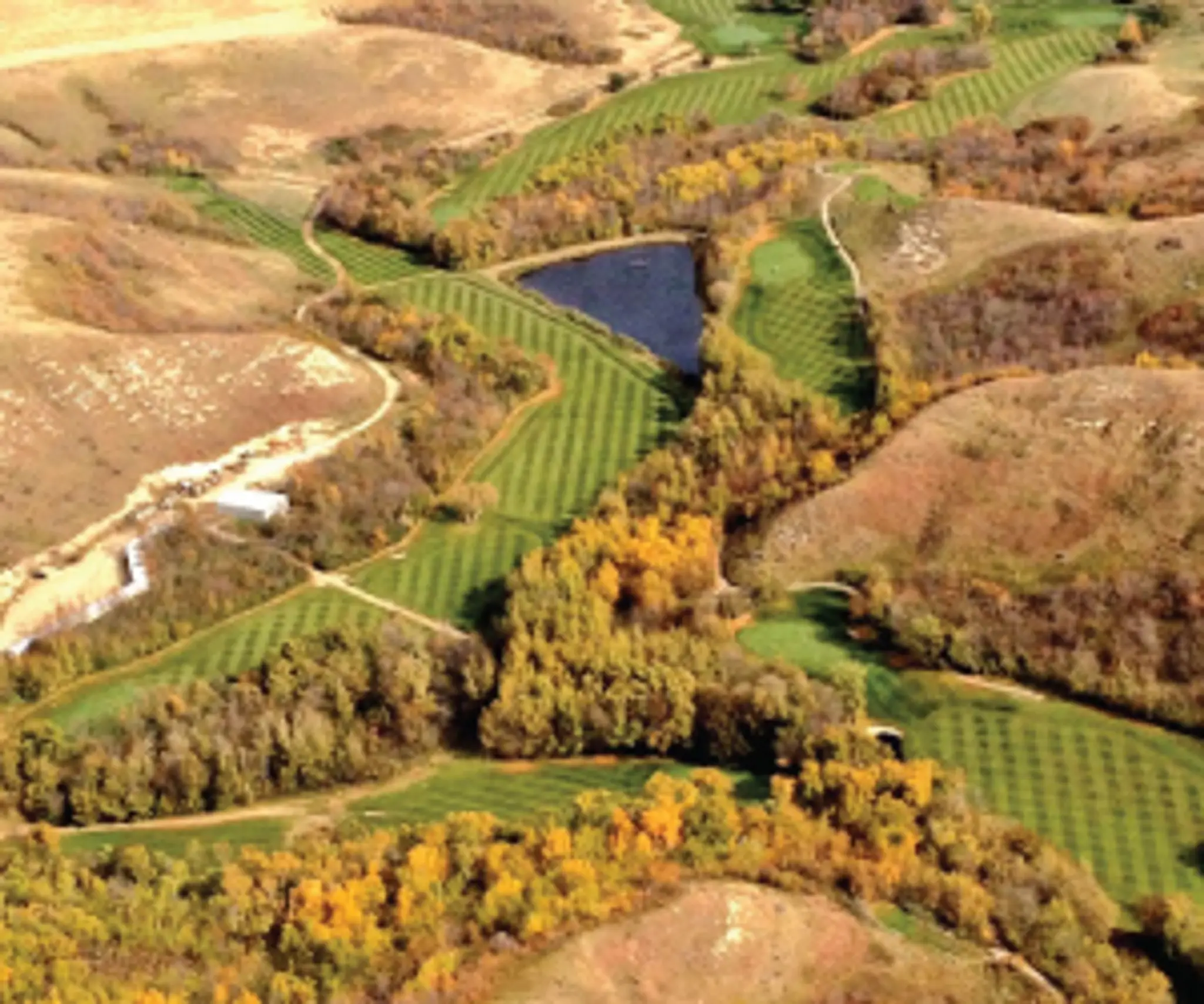 Willowbunch Golf Course