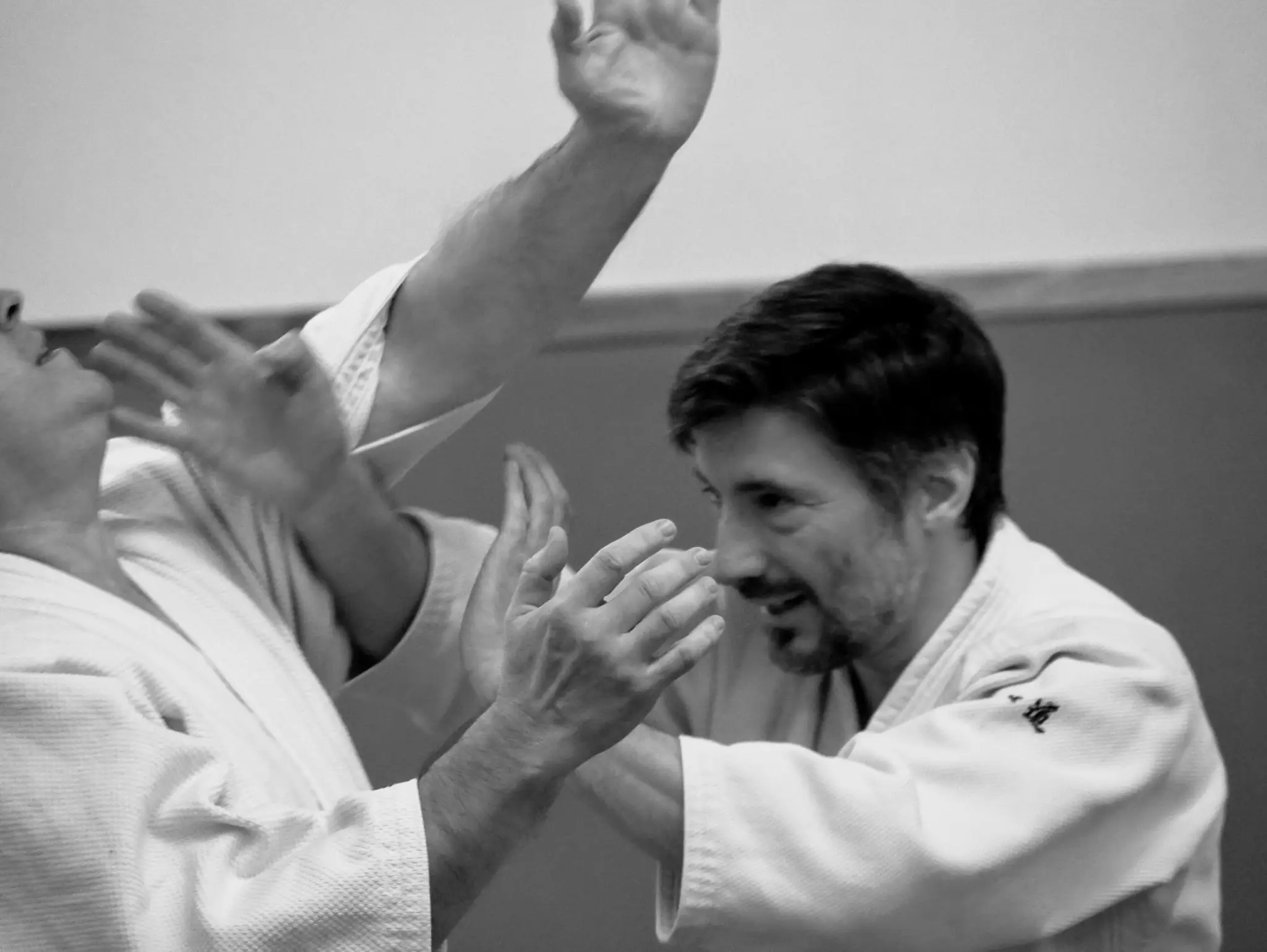Aikido Canejan