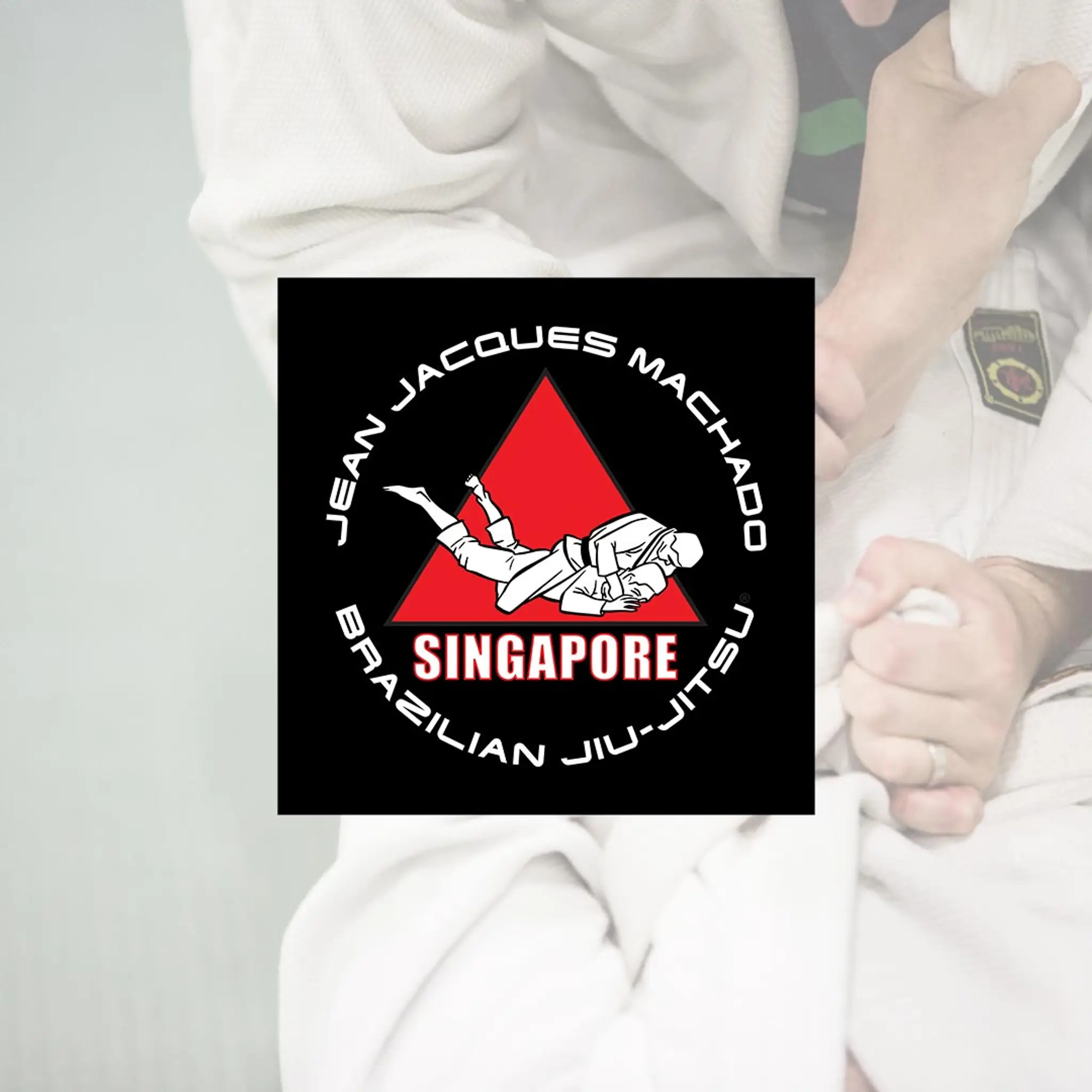 Singapore Budo Academy