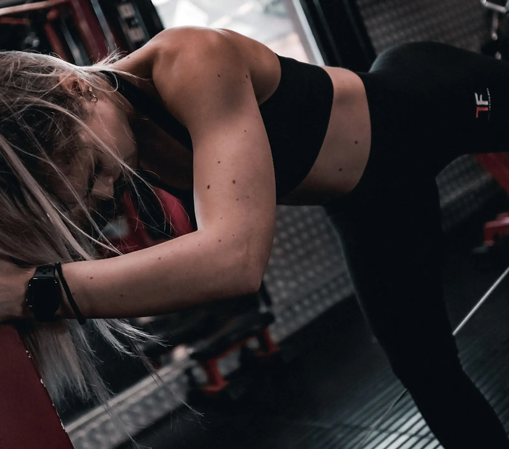 The Fitness Fraternity