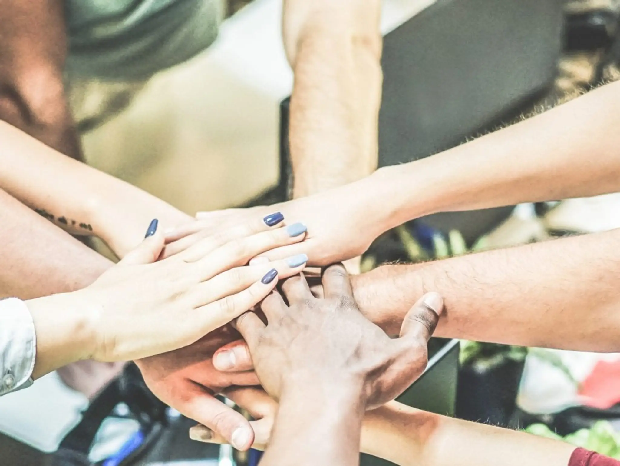 Forest Edge Community Pool