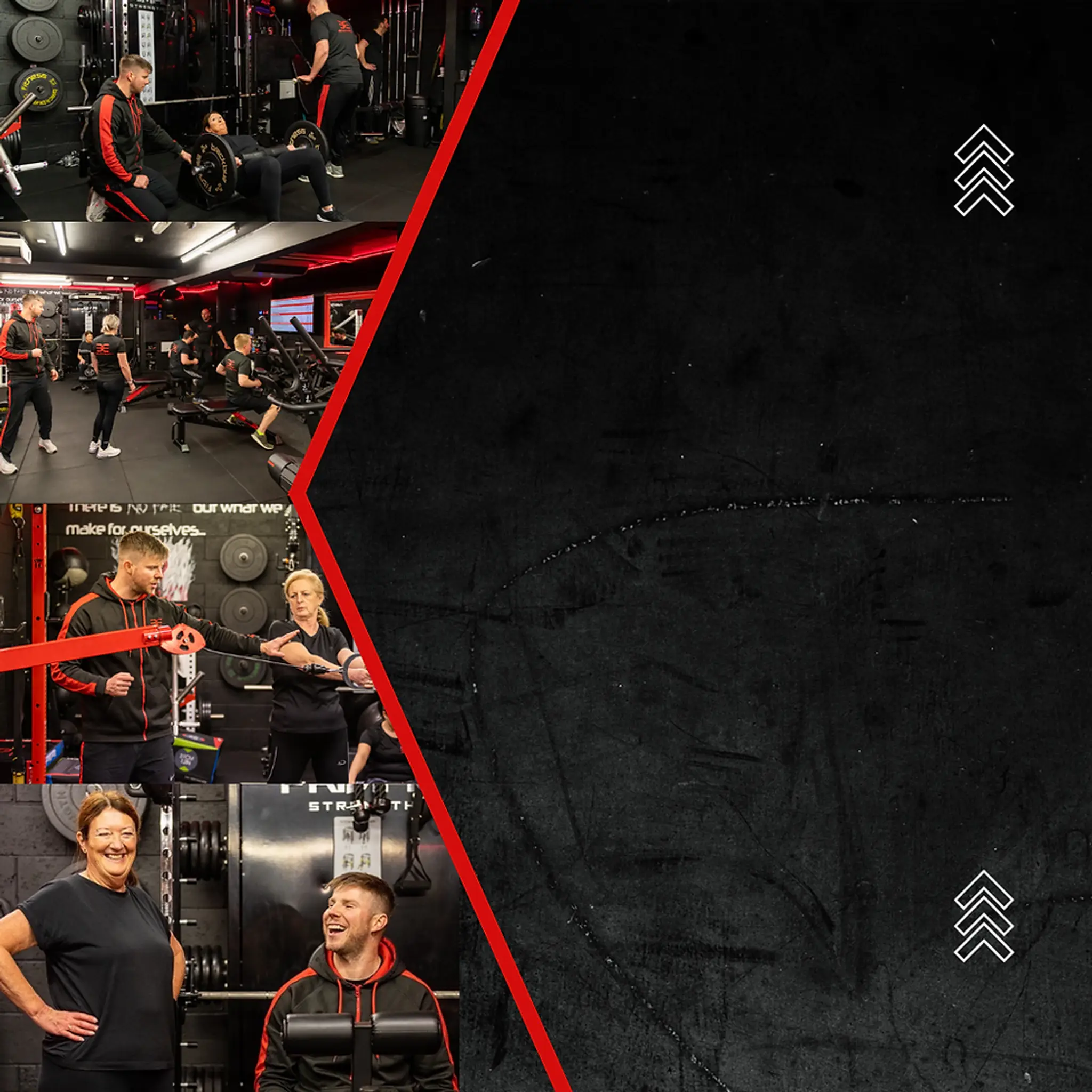 Body Evolution Fitness