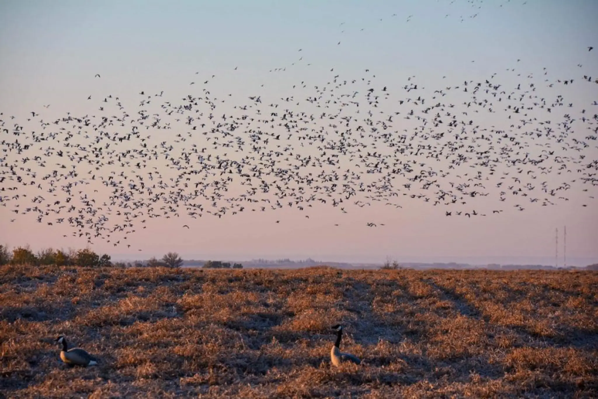 Pure Passion Outfitting