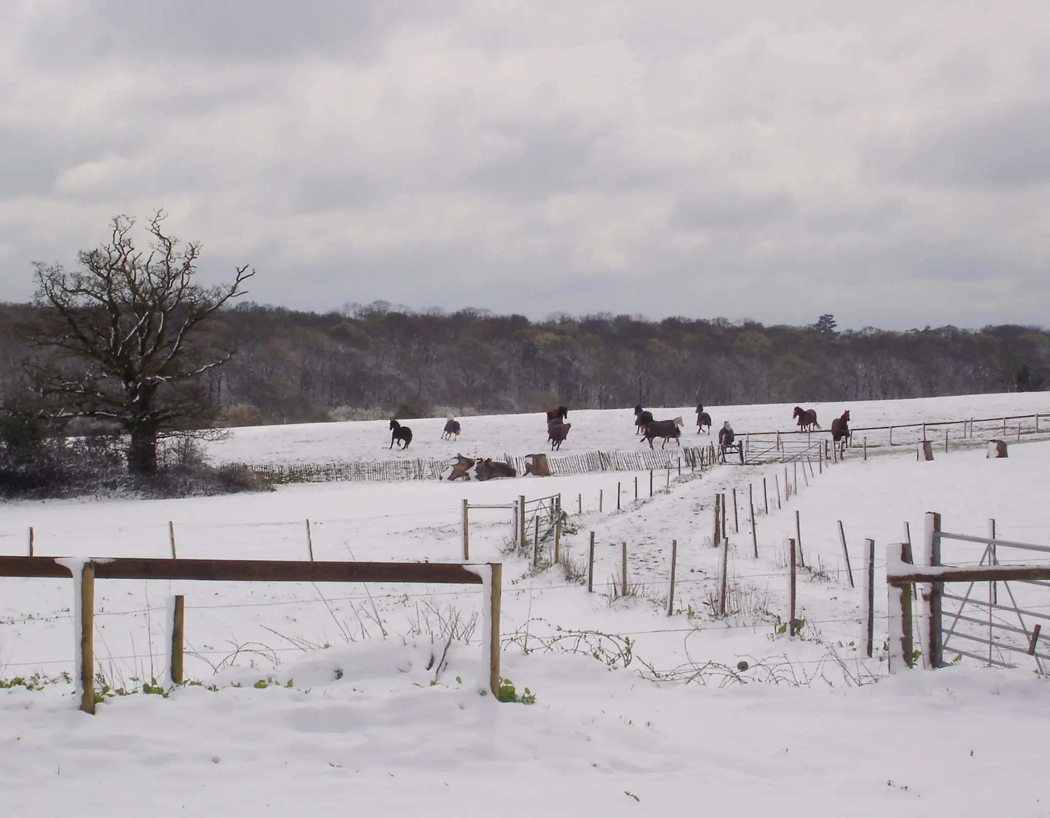 Little Leigh Farm Equestrian Centre