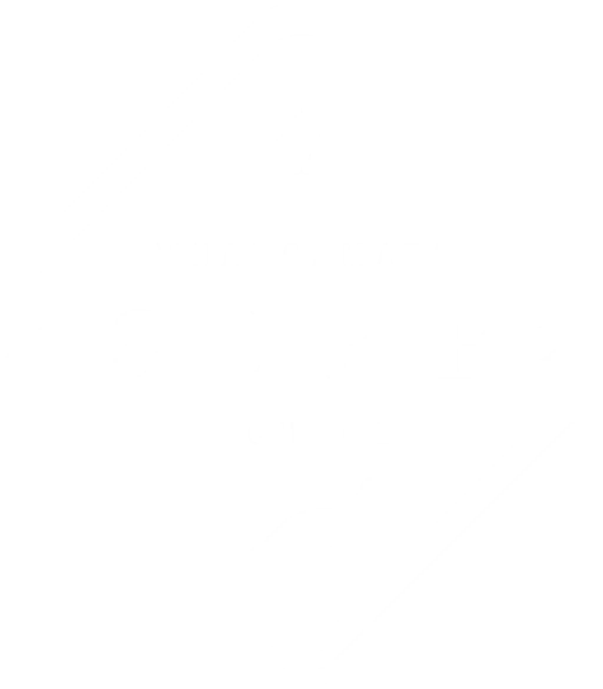 Whangamata Surf School