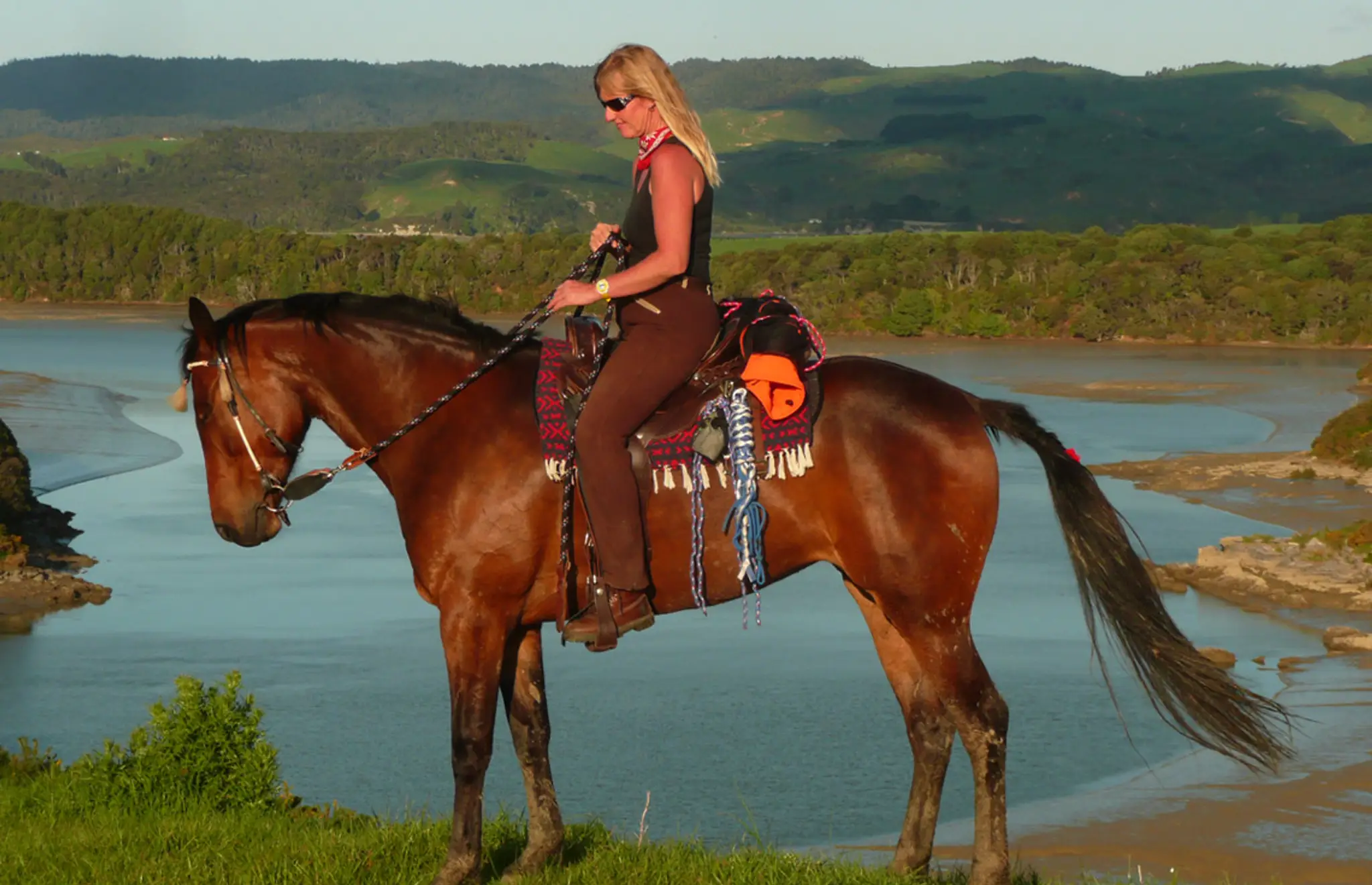 Surf & Turf Horse Riding Raglan