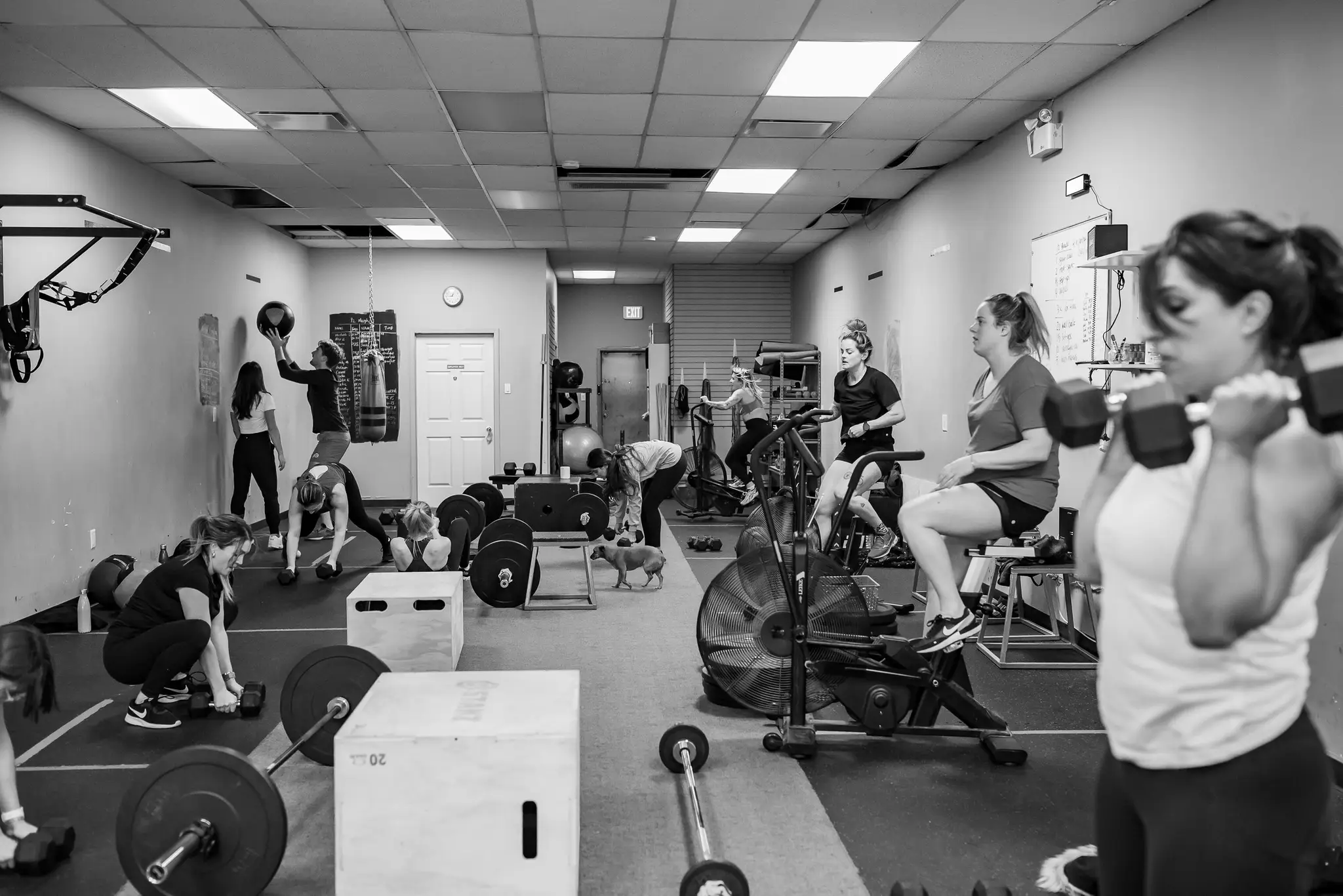 CoastLife Strength & Conditioning