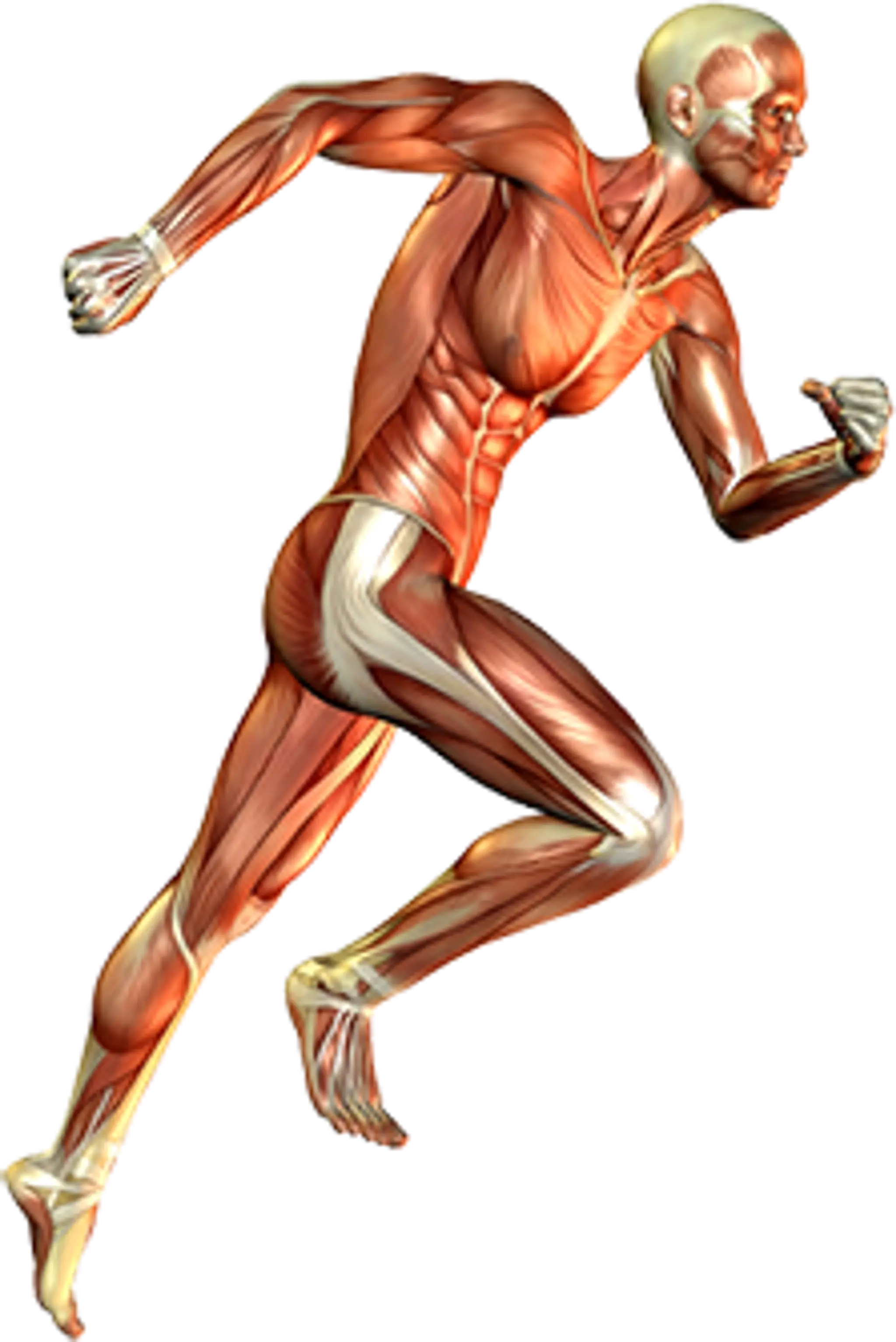 Armstrong Physiotherapy Clinic - Stonebridge