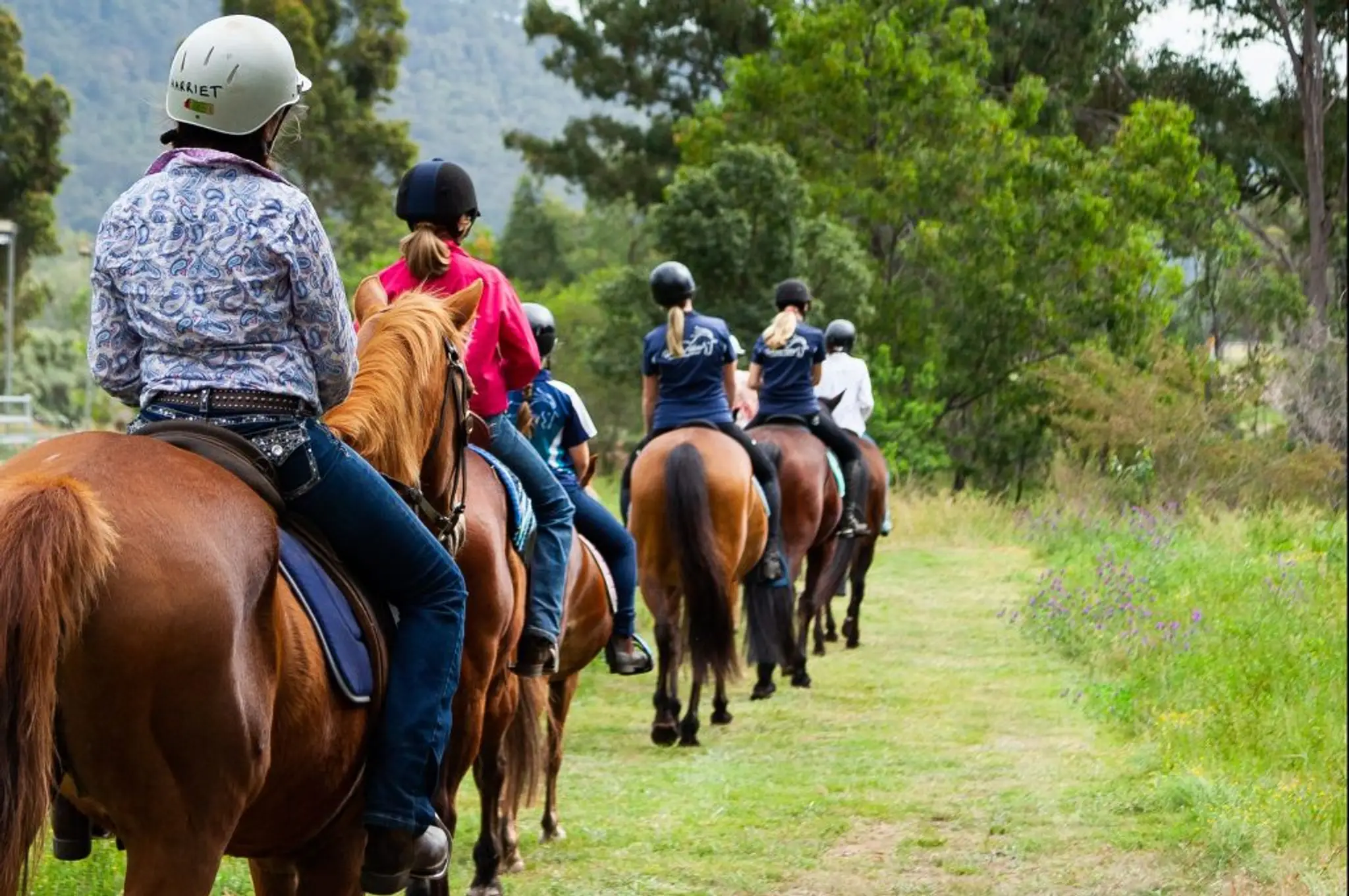 Wollemi Hills Horse Riding School