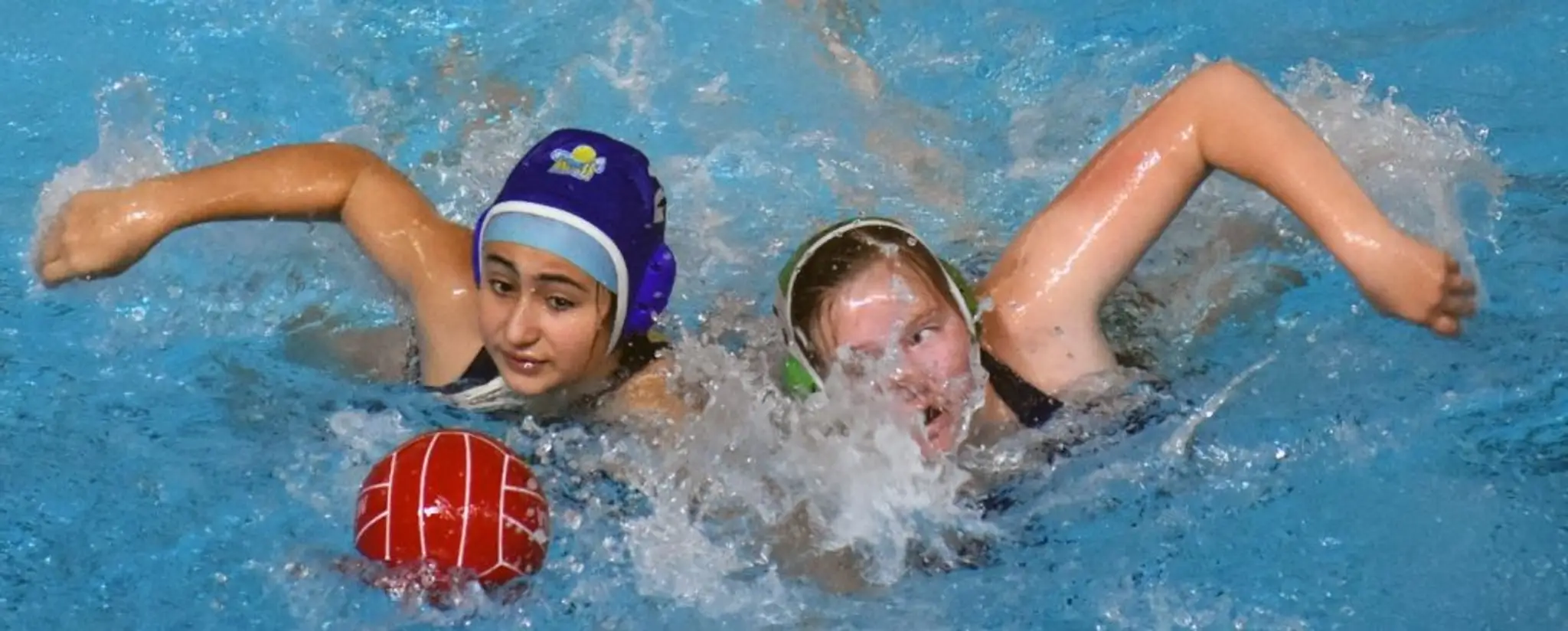 Calgary Wild Water Polo