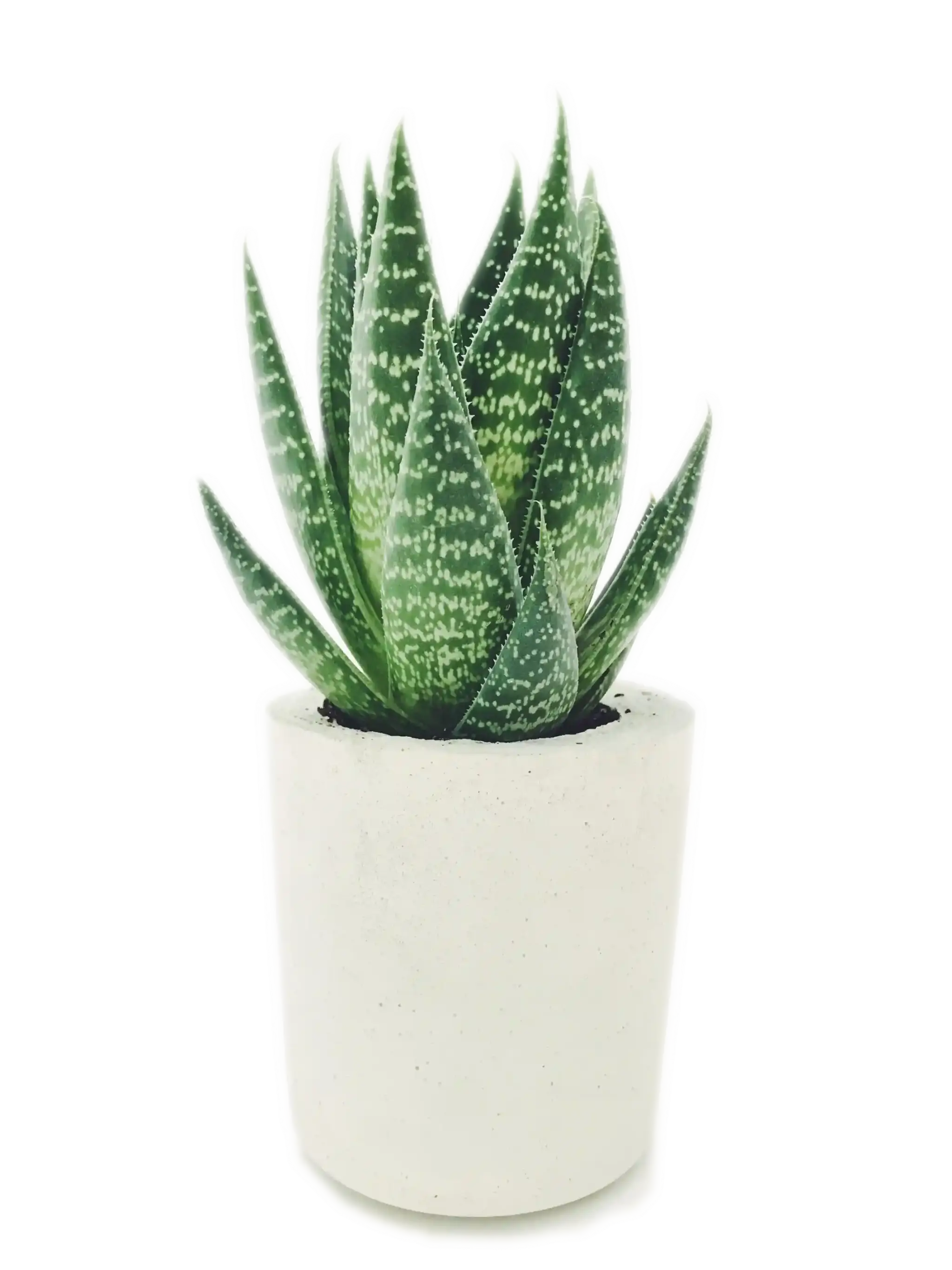 Clearview Health - Dr. Ted Chung, ND Ajax Naturopath Clinic