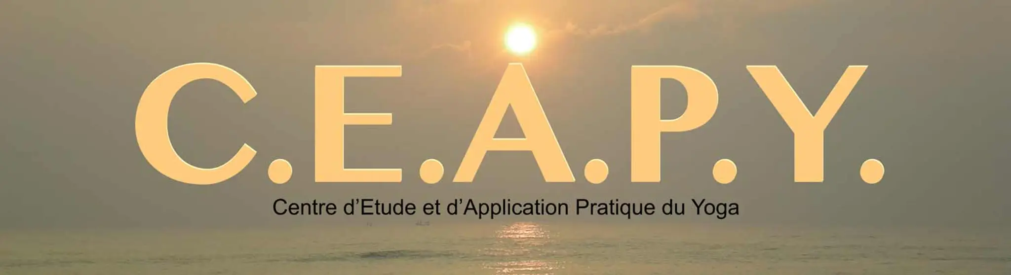 Center Of Study And Application Practice Du Yoga