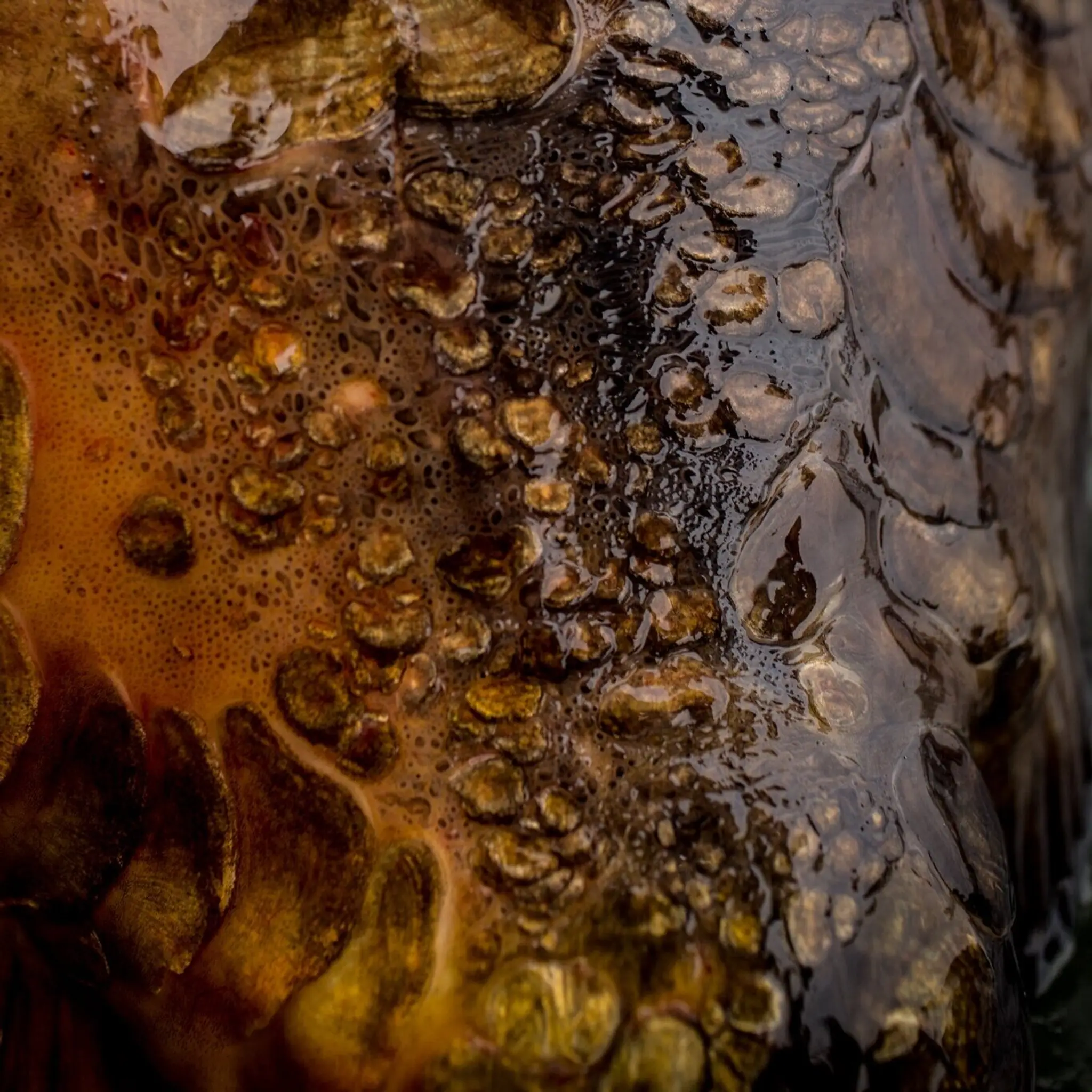 Surrey Docks Angling