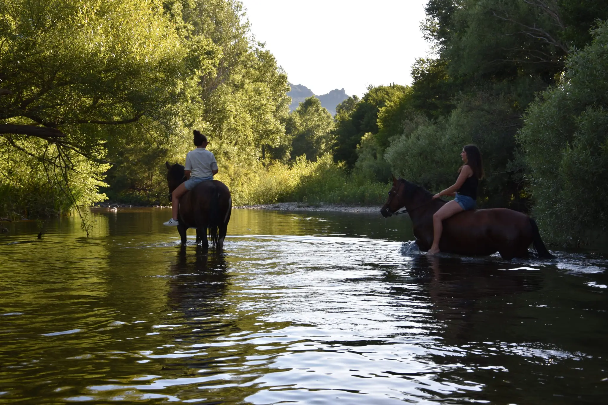 I Chjassi di l'Altagna