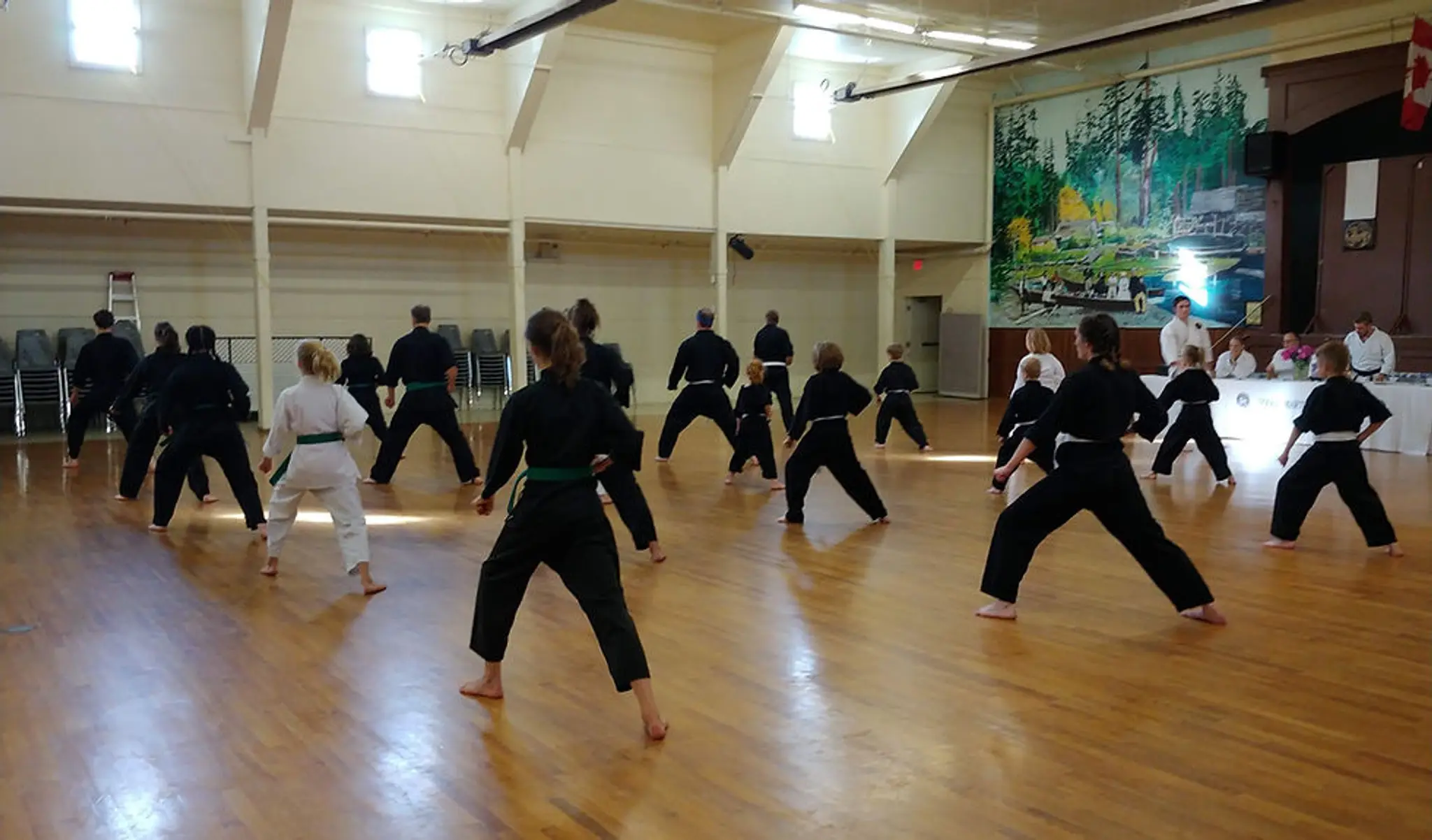 Sooke Martial Arts Association