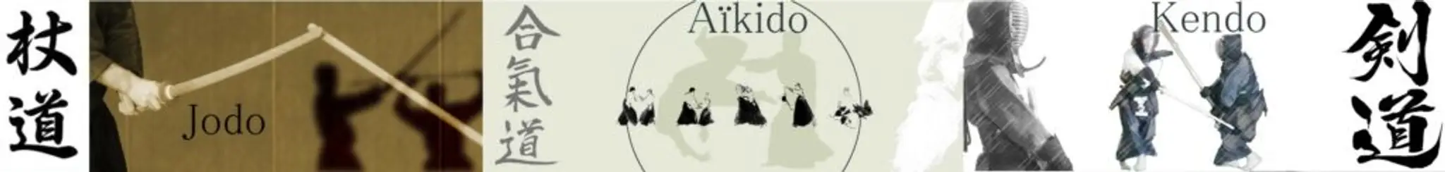 Association Albigeoise D'aïkido
