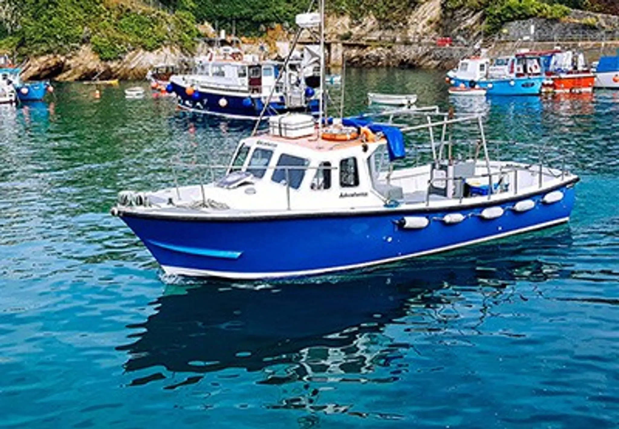 Newquay Sealife Boat & Fishing Trips