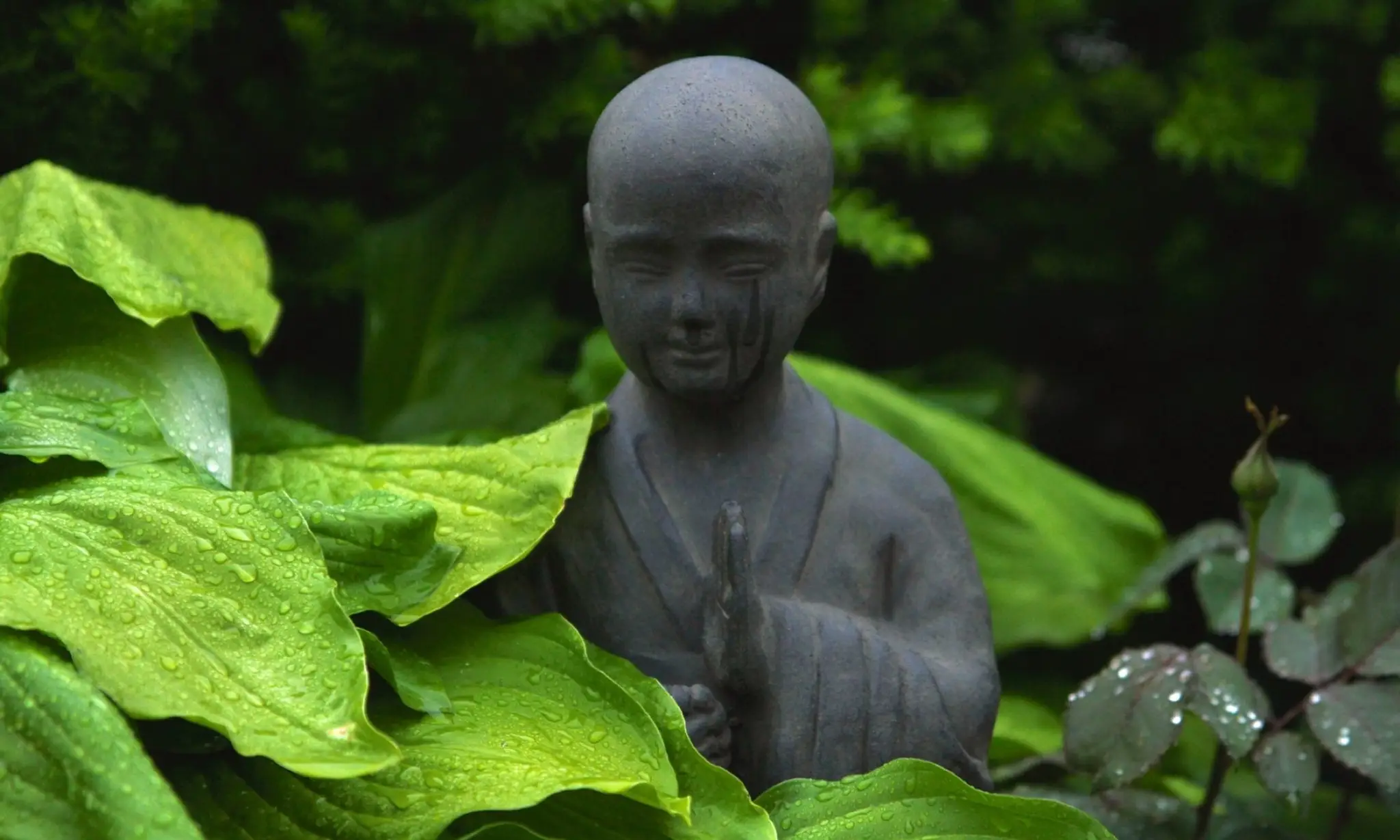 Cork Tai Chi Studio / Cork Energy Arts Centre