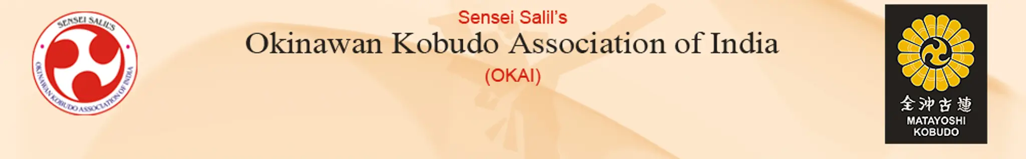 Sensei Salil's Isshinryu Karate Dojo