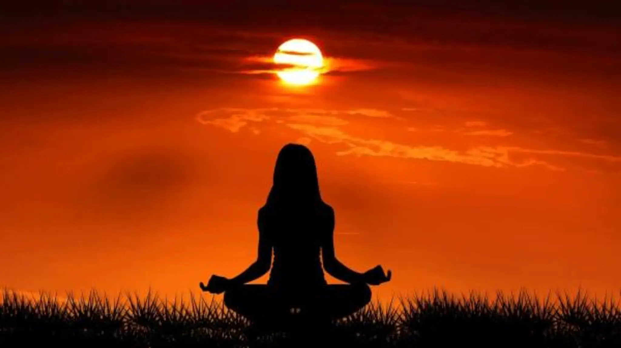 Divya Meditation Wellness Institute