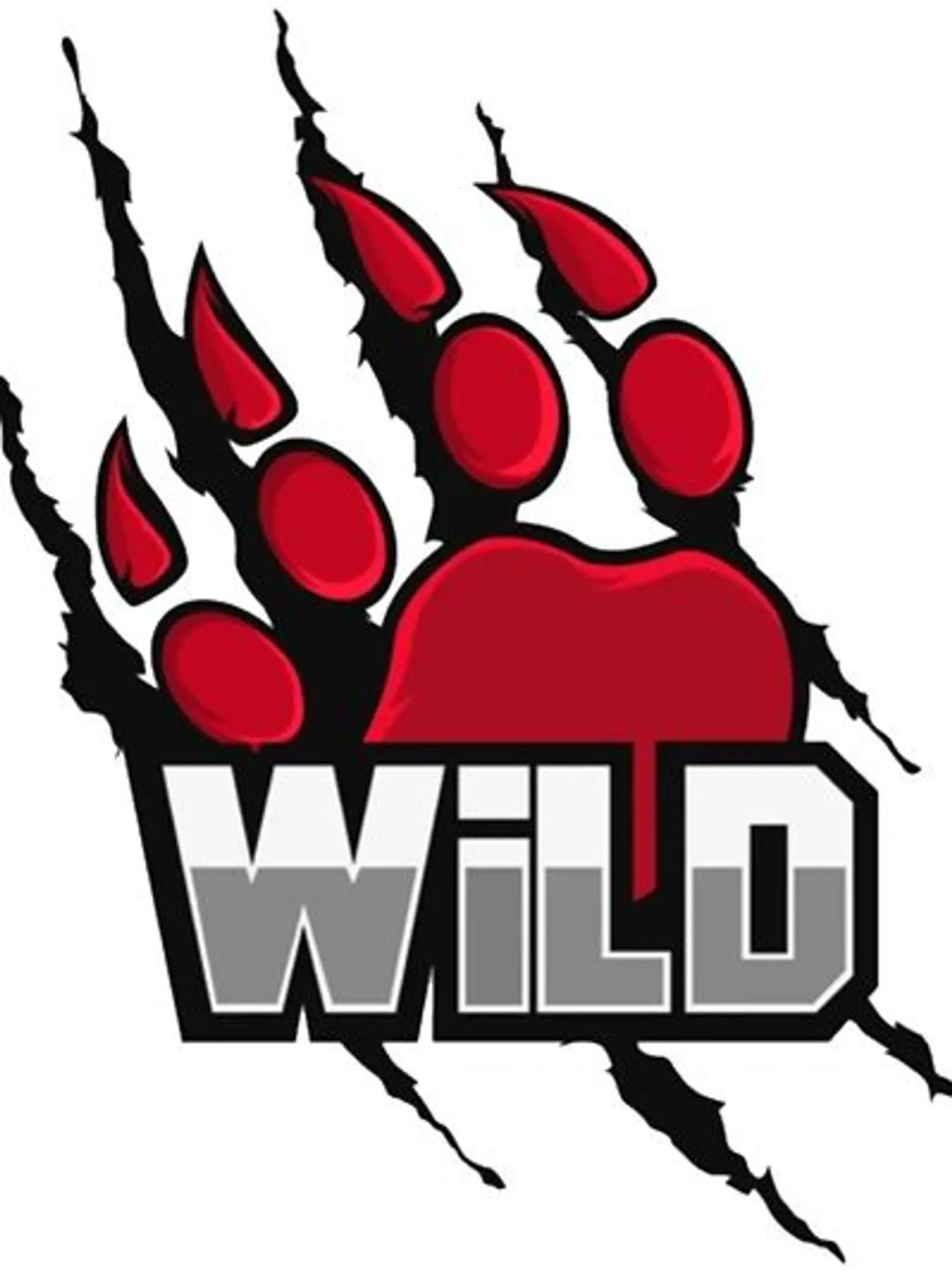 FURY VOLLEYBALL CLUB