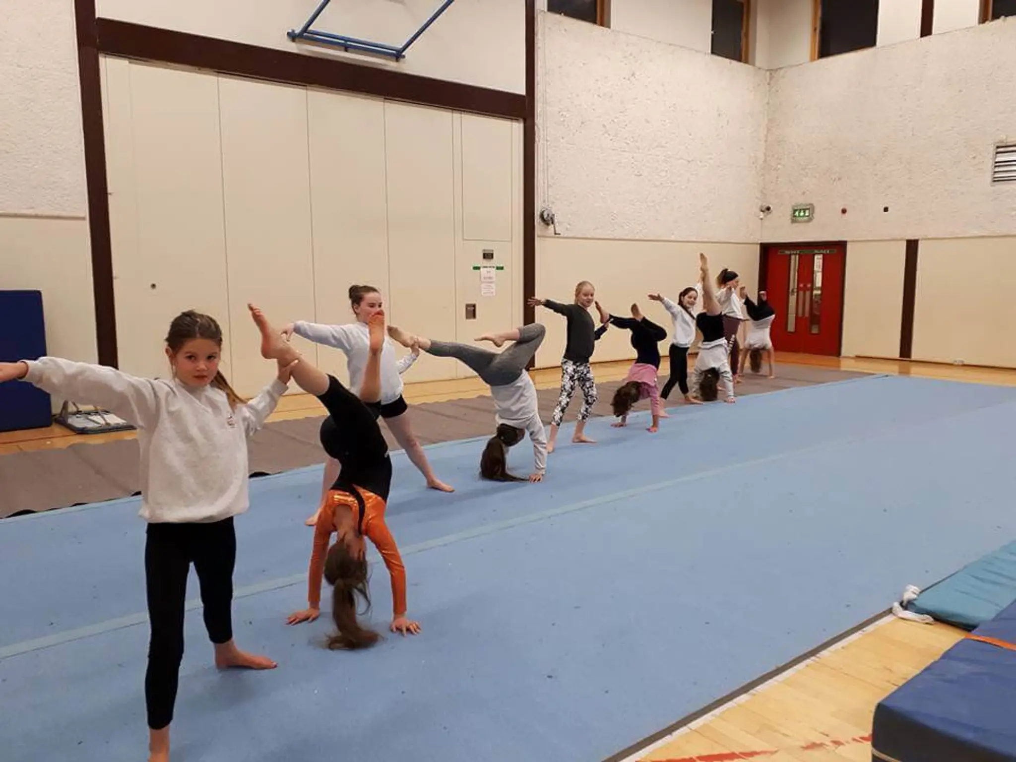 Children of Lir Gymnastics Club
