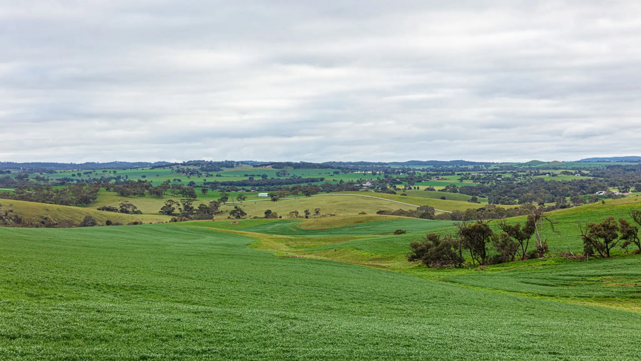 Kapunda Swimming Pool