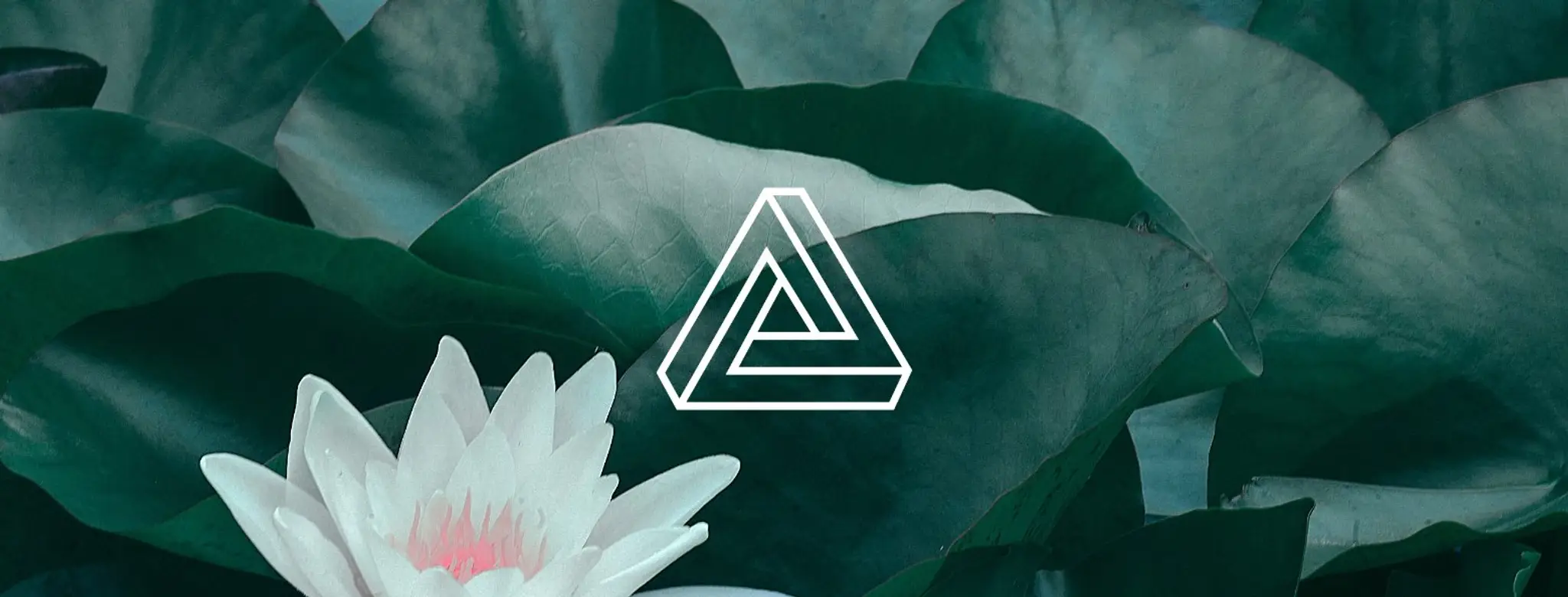 Green & Blue Studios