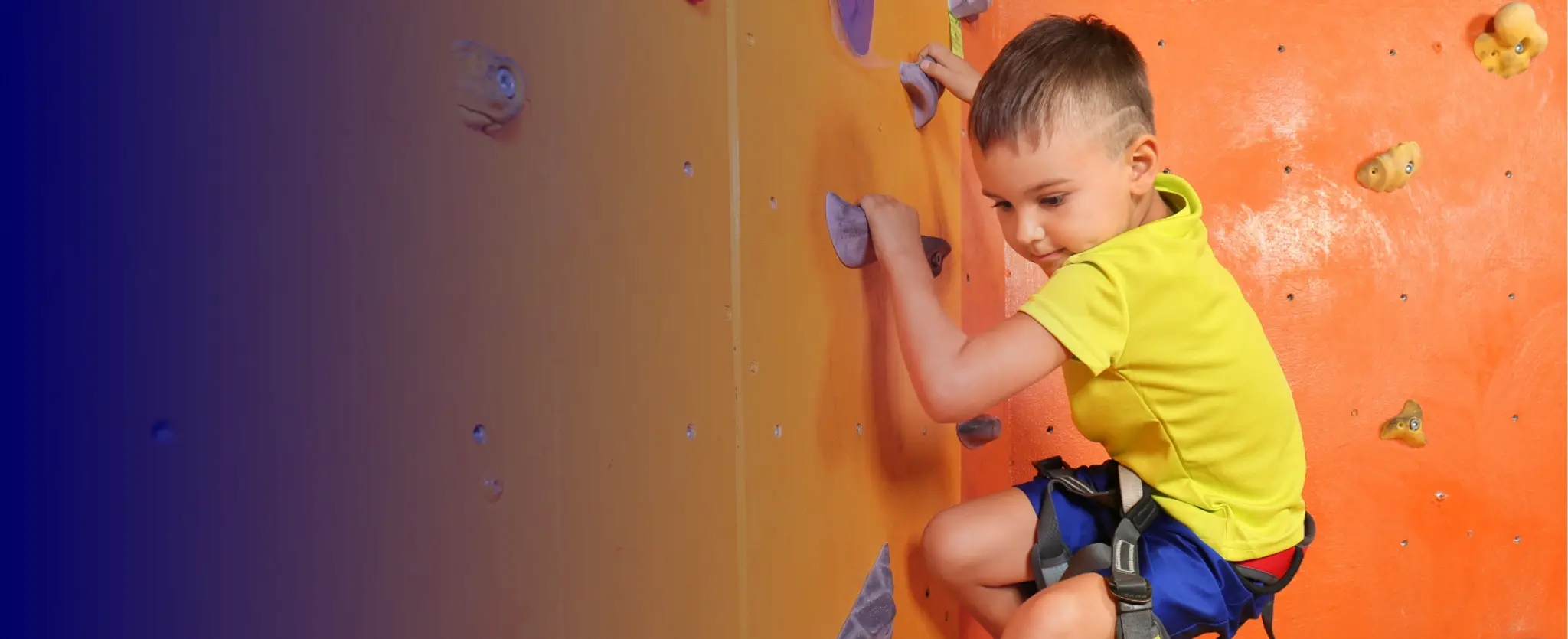 Flaxman Sports Centre