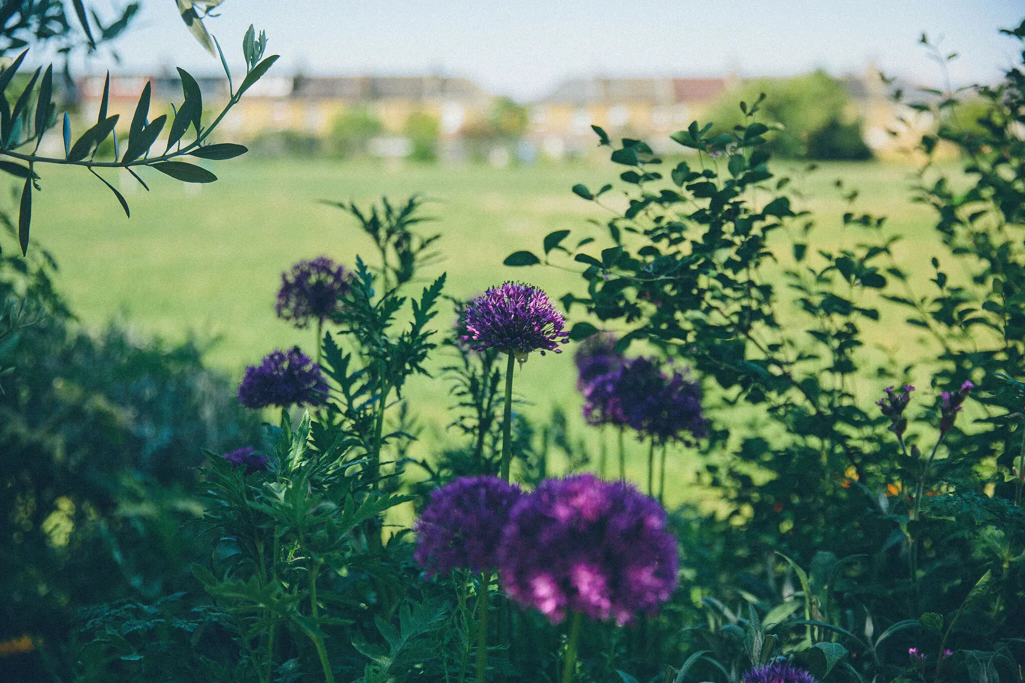 Abbotshall Healthy Lifestyle Centre