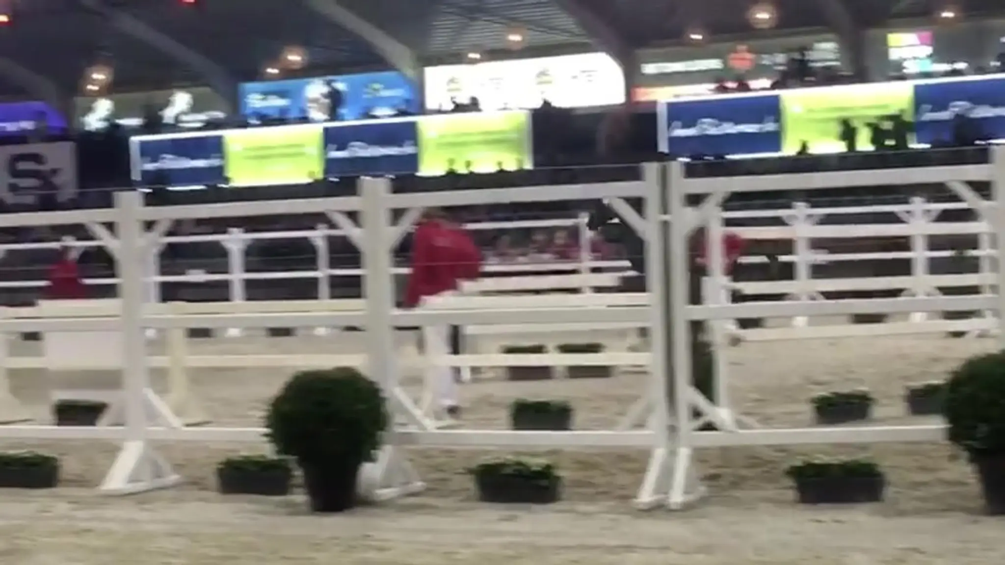 Elevage du clos de la lys