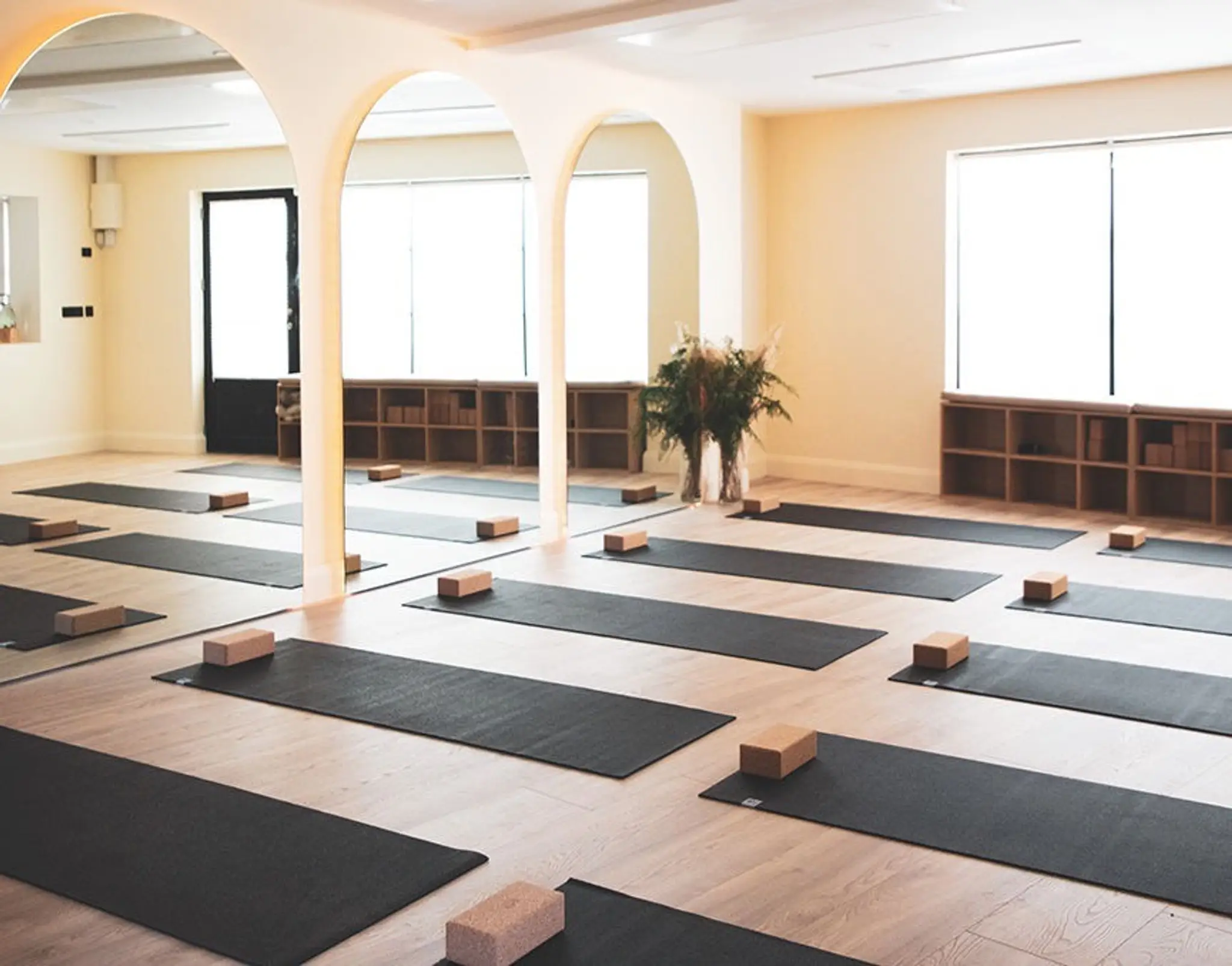 Lions Breath Yoga Studio