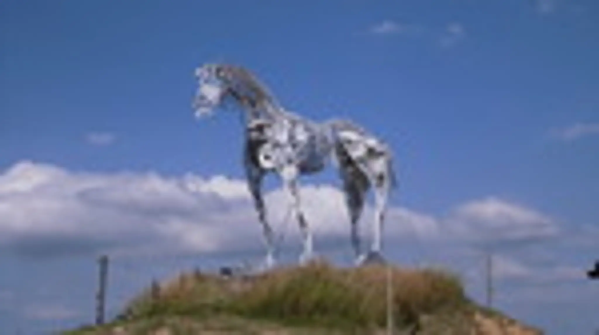 Equestrian Center Des Droops