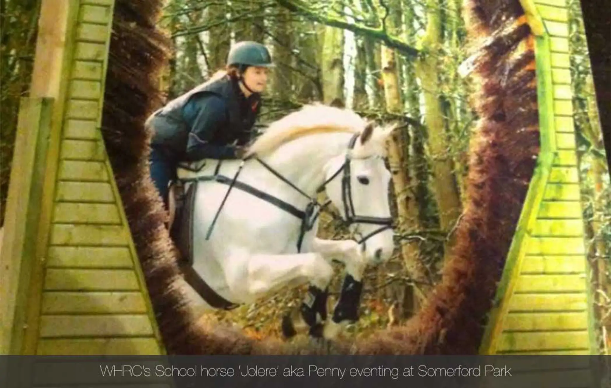 Willington Hall Riding Centre & Livery