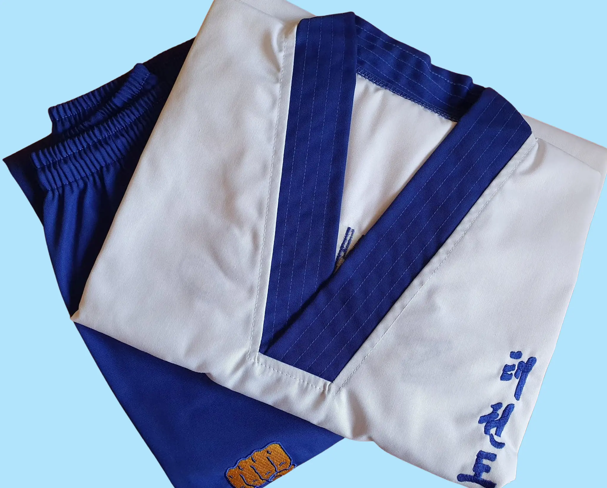 XS taekwon-Do Mount Vernon