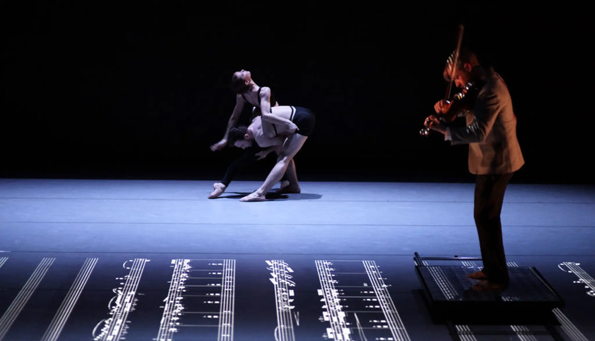 Collusion Music and Dance Ensemble