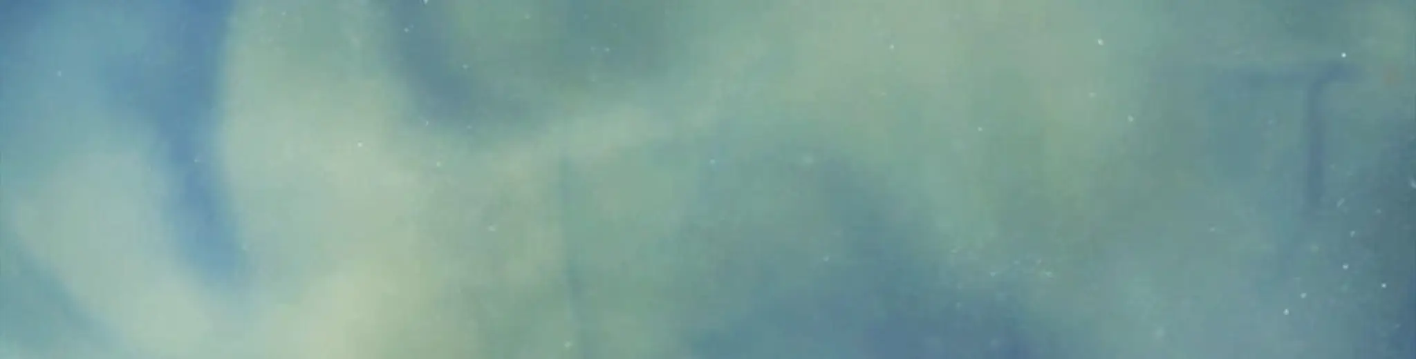 ENTRE TERRE ET CIEL CENTRE DE YOGA Céline Dupuy